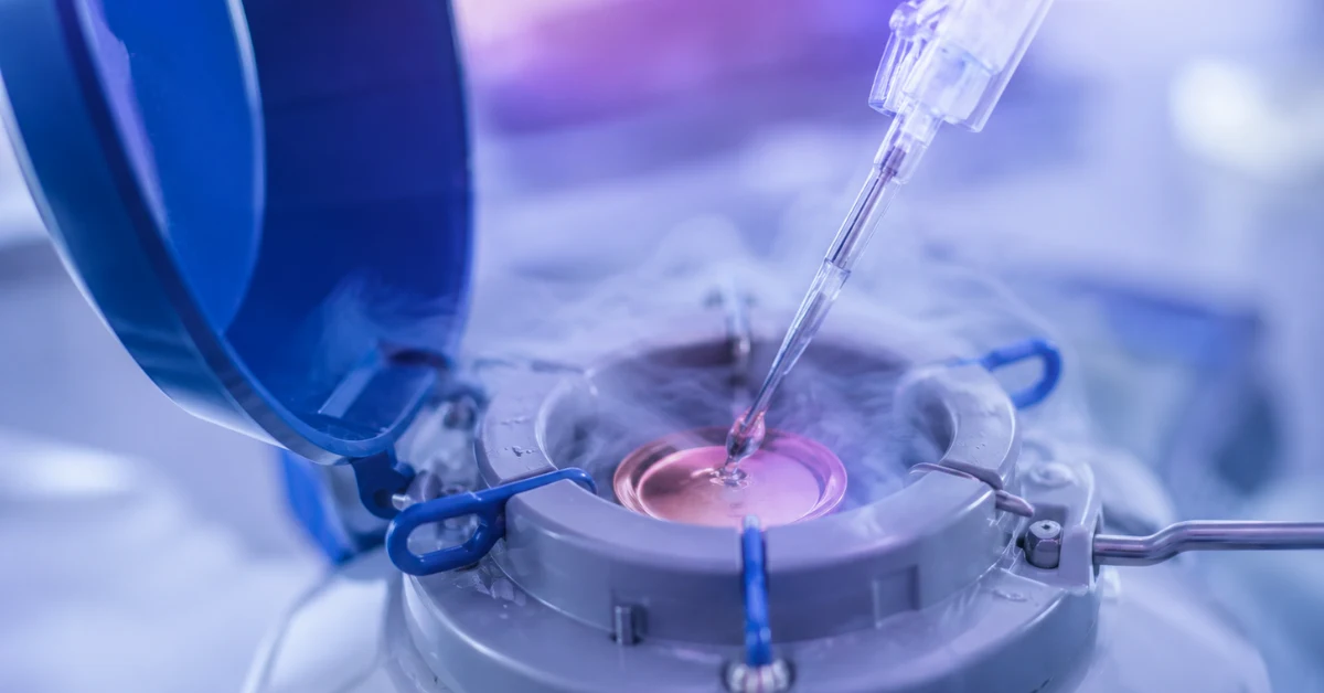 Egg Freezing / Oocyte Cryopreservation